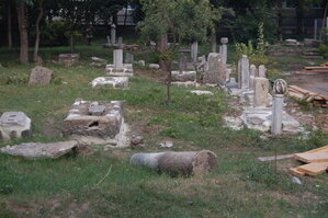an1_015435.jpg