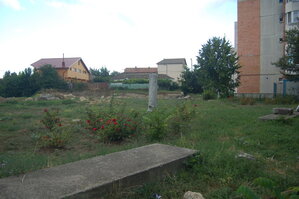 an1_015439.jpg