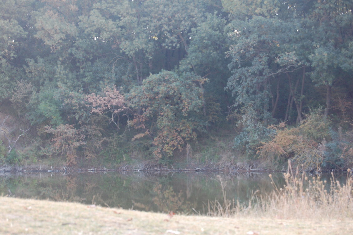 Lacul Tarzan.