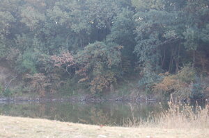 Lacul Tarzan.