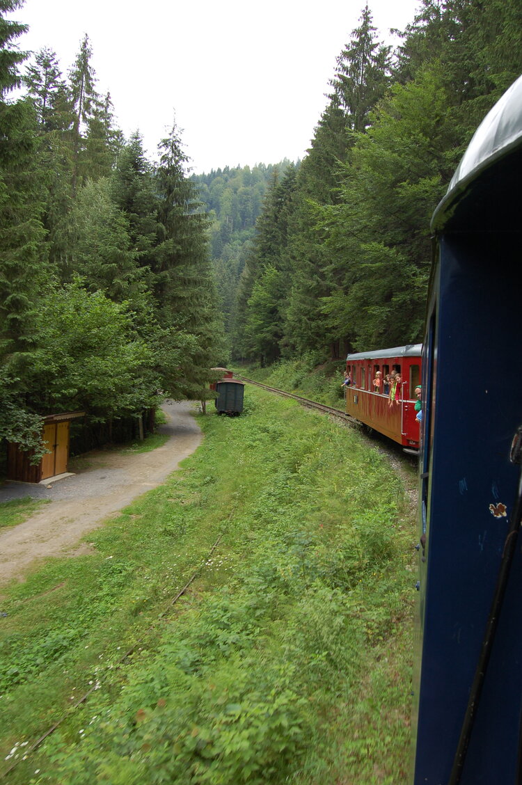 an1_005340.jpg