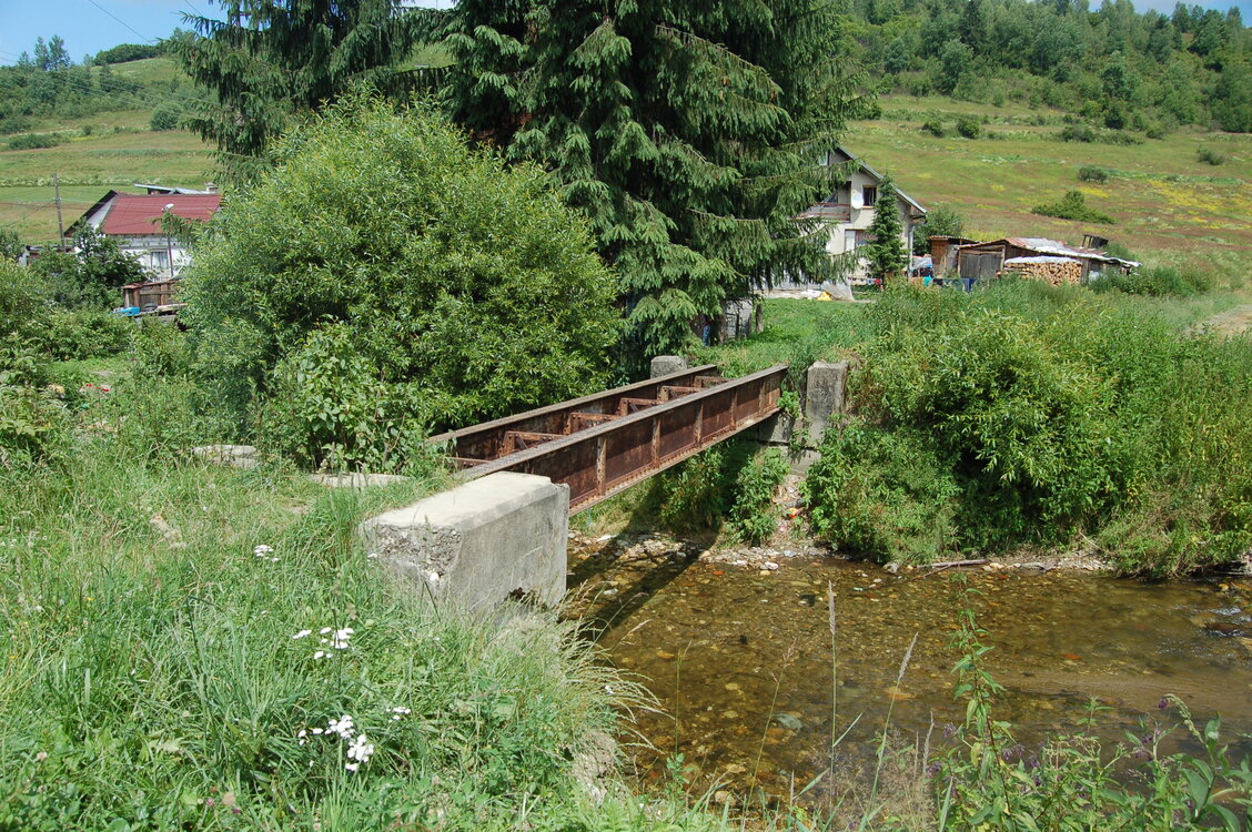 an1_005347.jpg