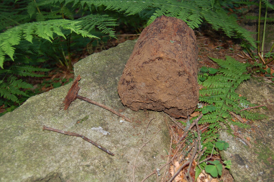 an1_005373.jpg