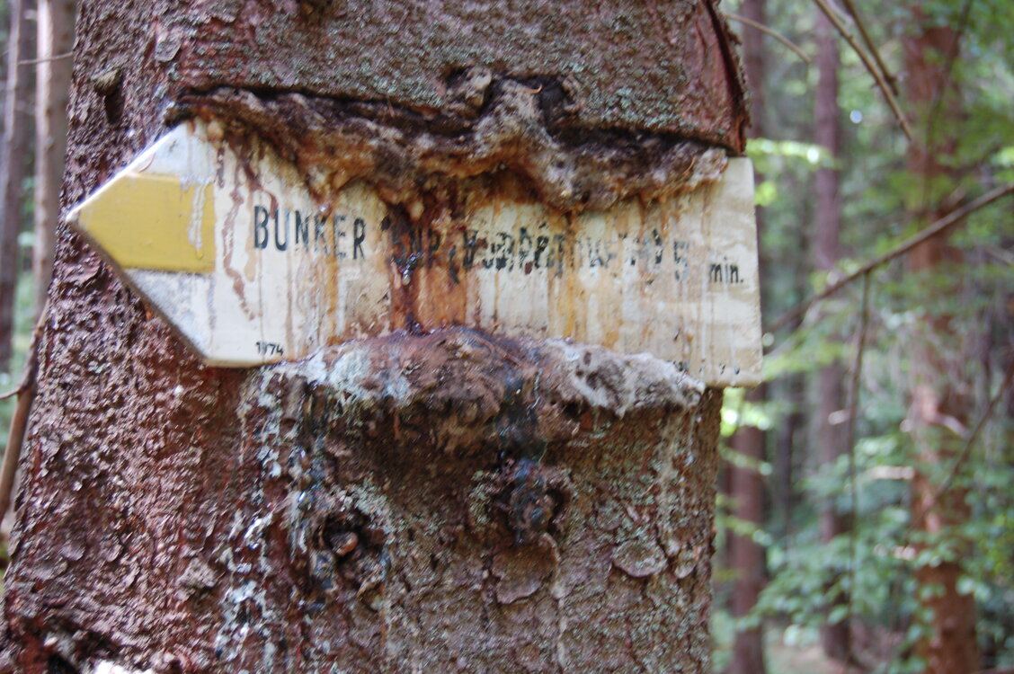 an1_005376.jpg