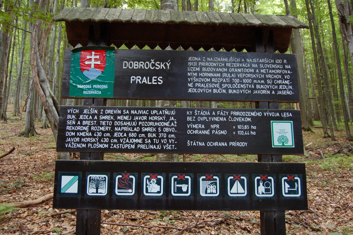 an1_005380.jpg