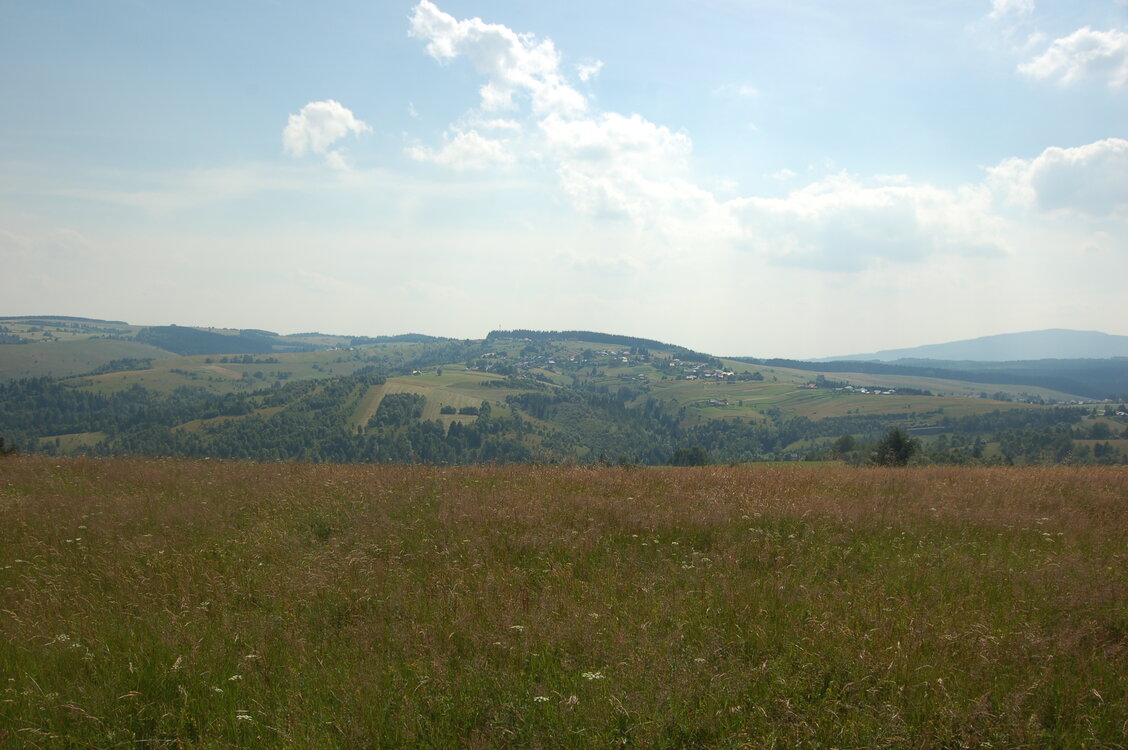 an1_005416.jpg