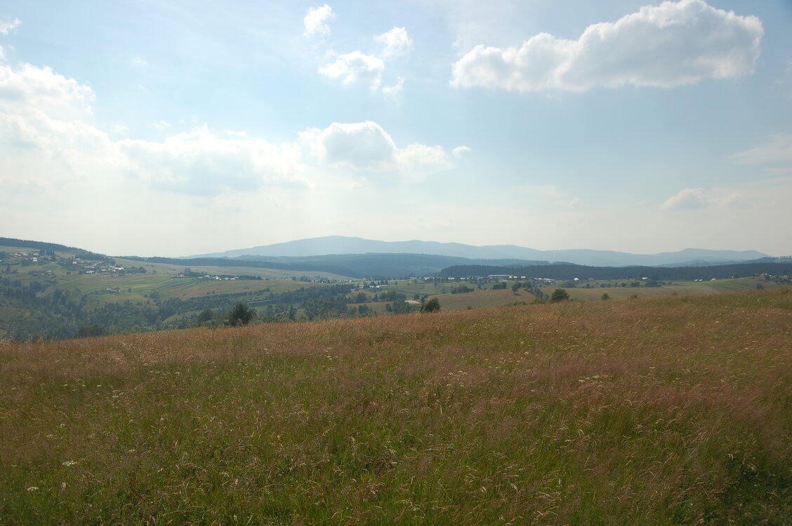 an1_005417.jpg