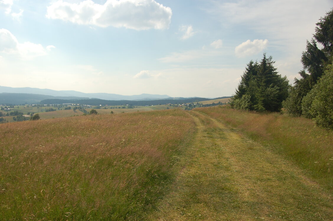 an1_005418.jpg