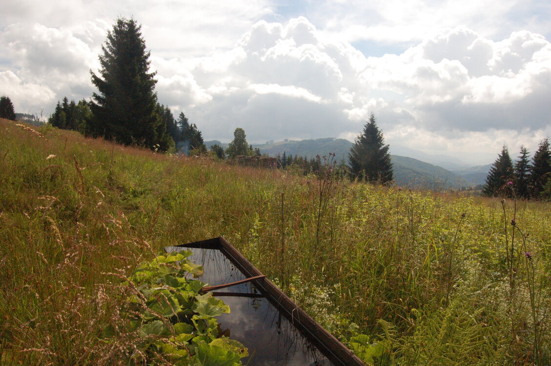 an1_005430.jpg