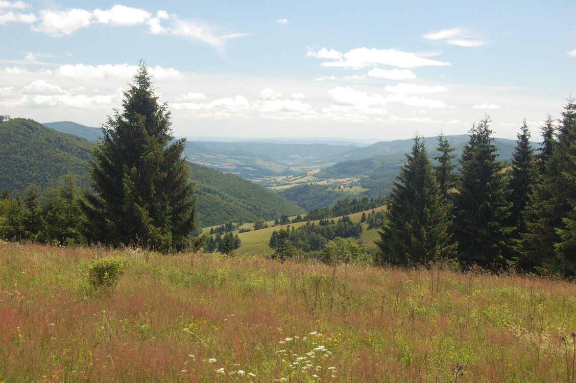 an1_005436.jpg