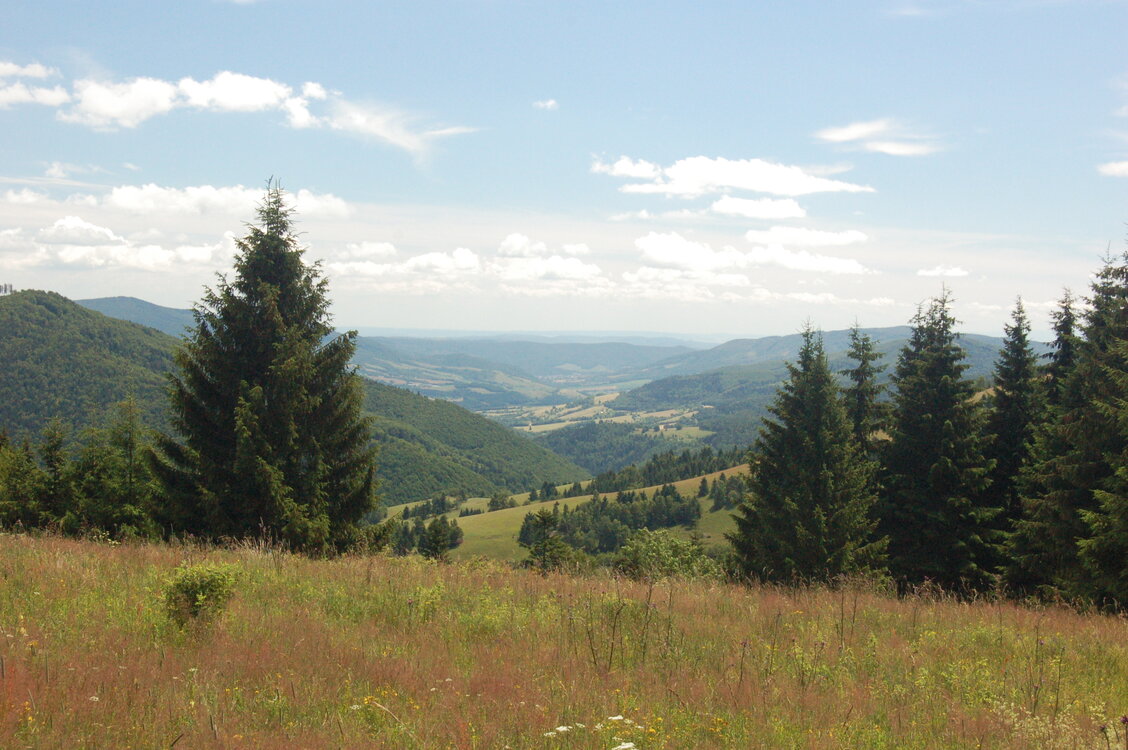 an1_005437.jpg