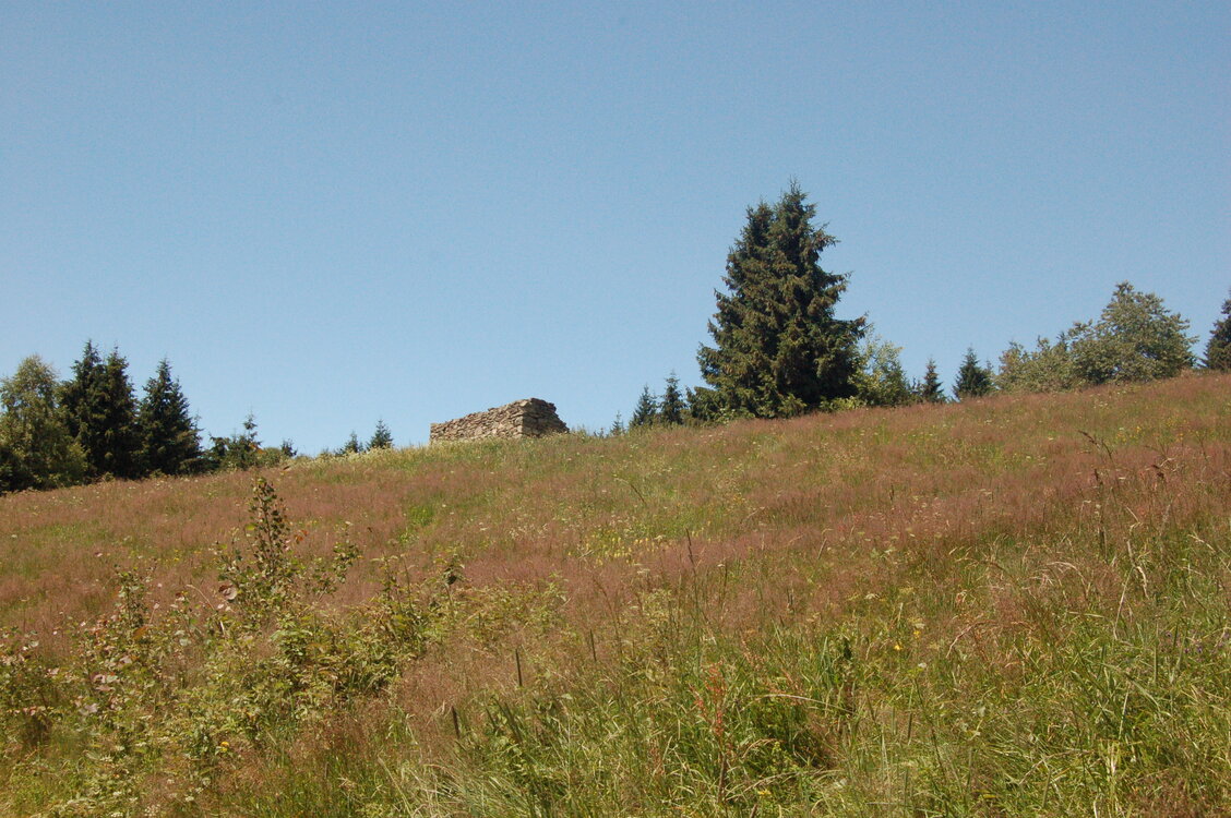an1_005439.jpg