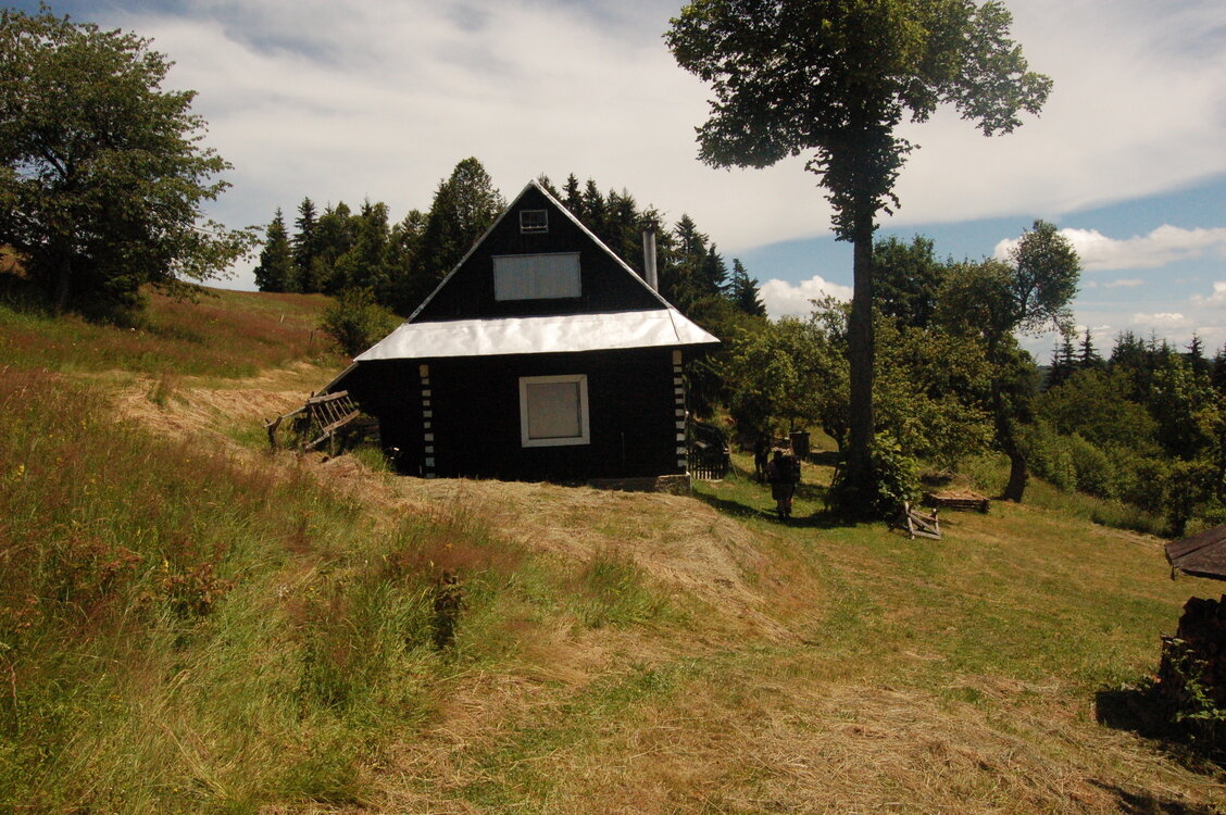 an1_005440.jpg