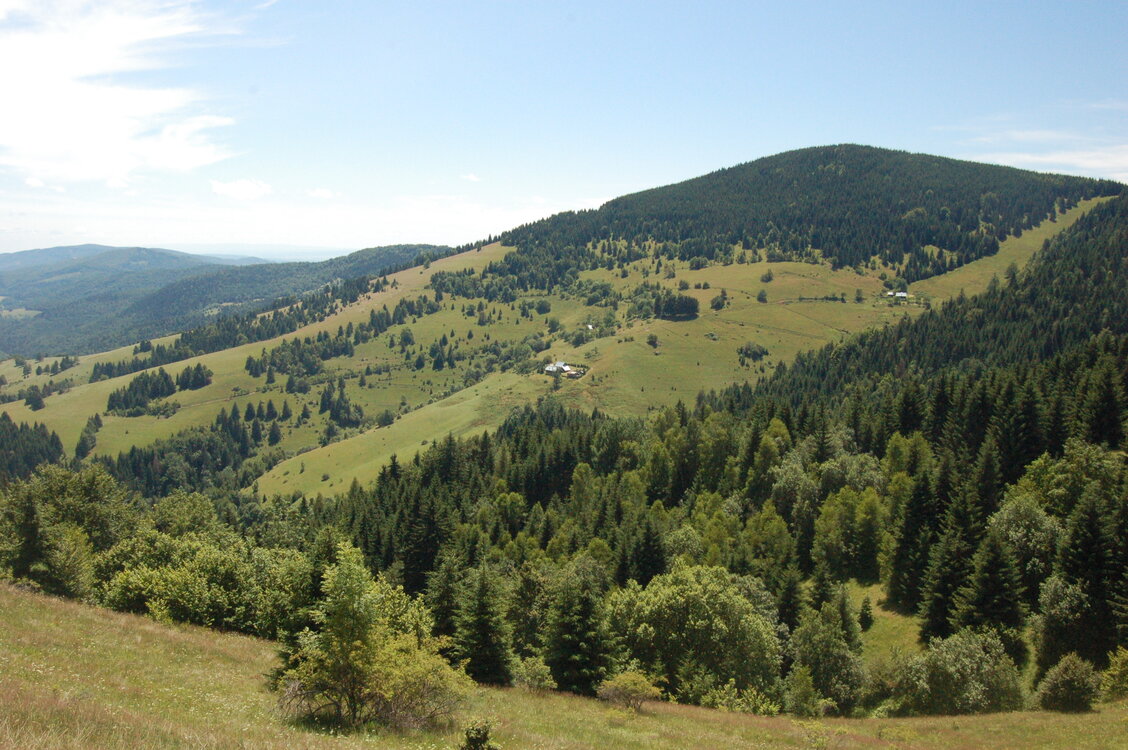 an1_005443.jpg