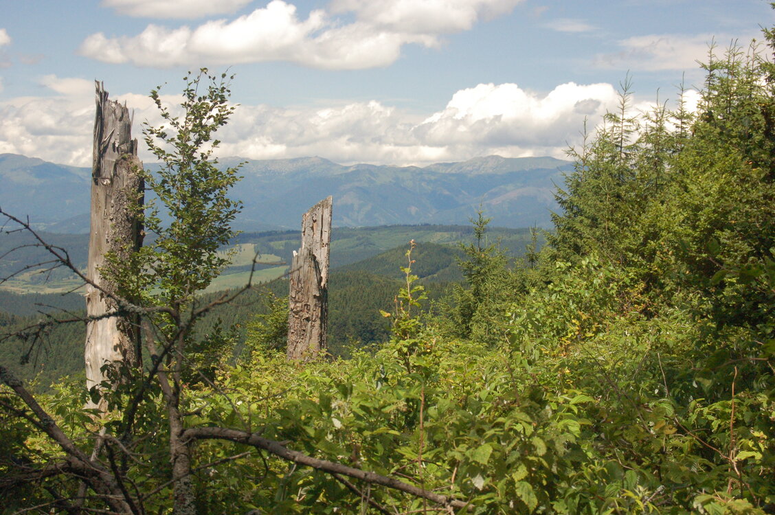 an1_005445.jpg