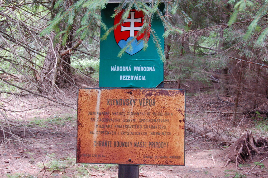 an1_005448.jpg