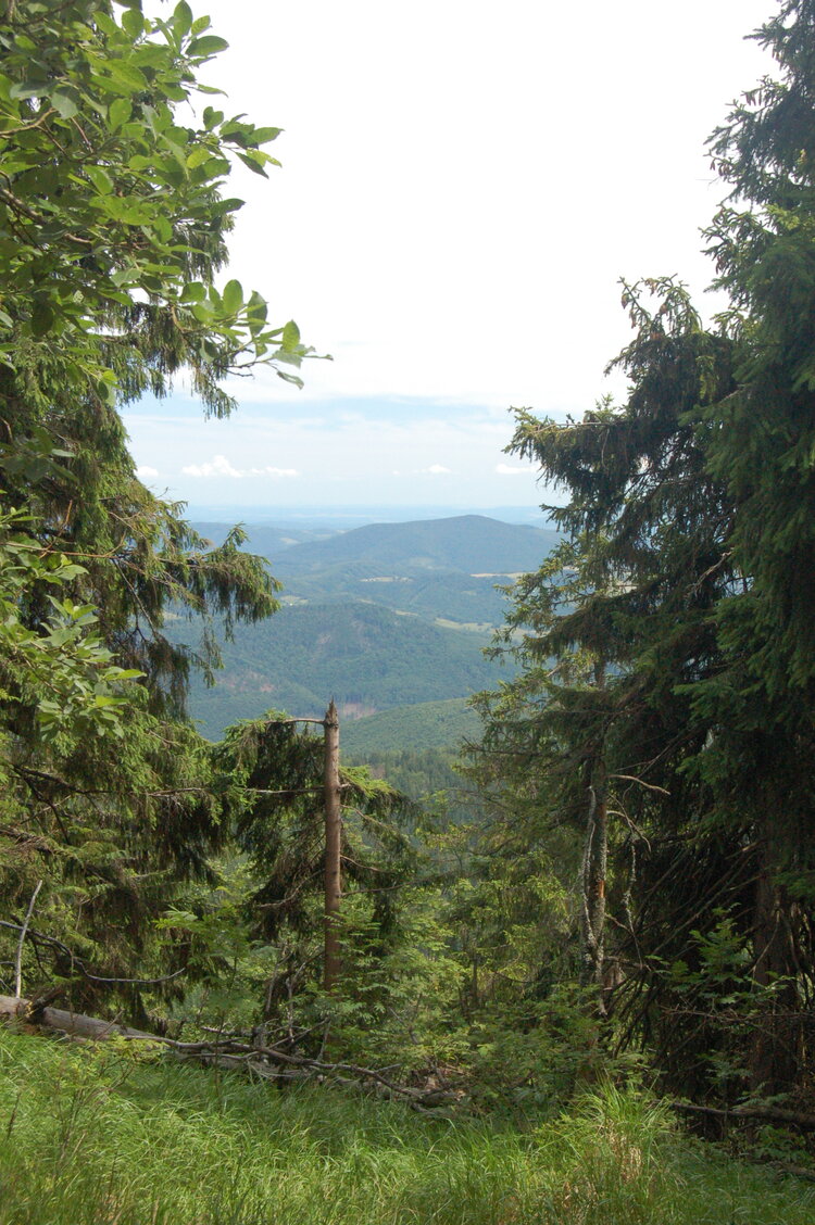 an1_005449.jpg