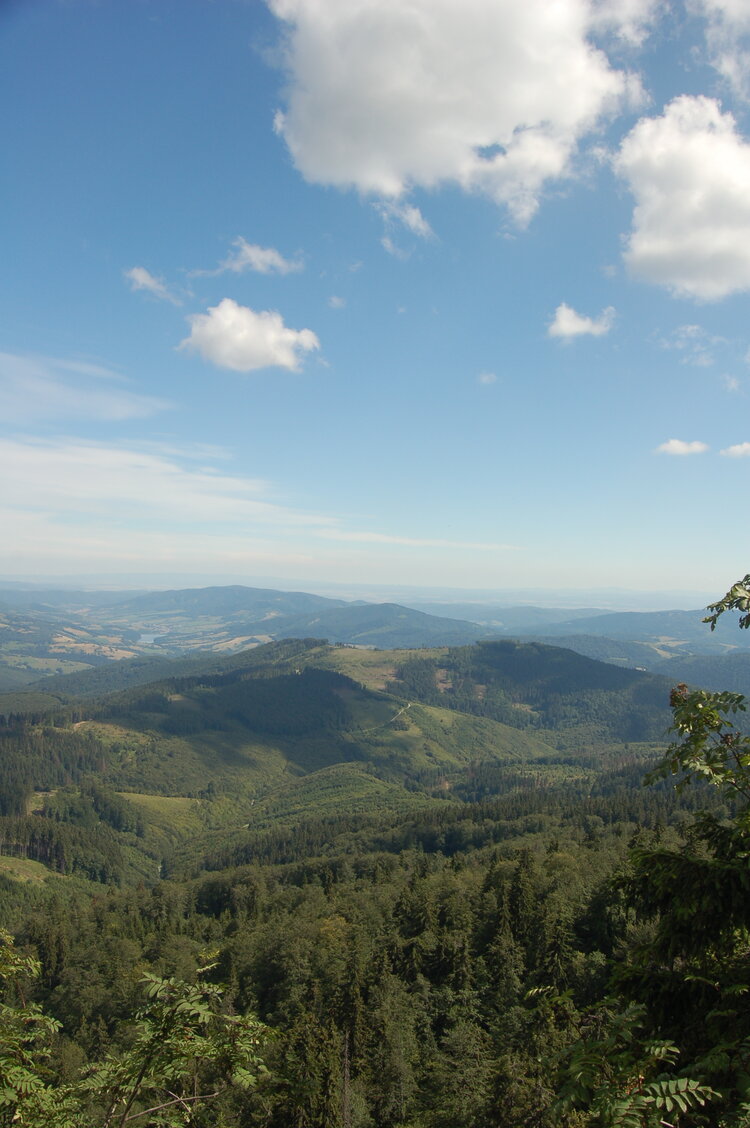 an1_005454.jpg