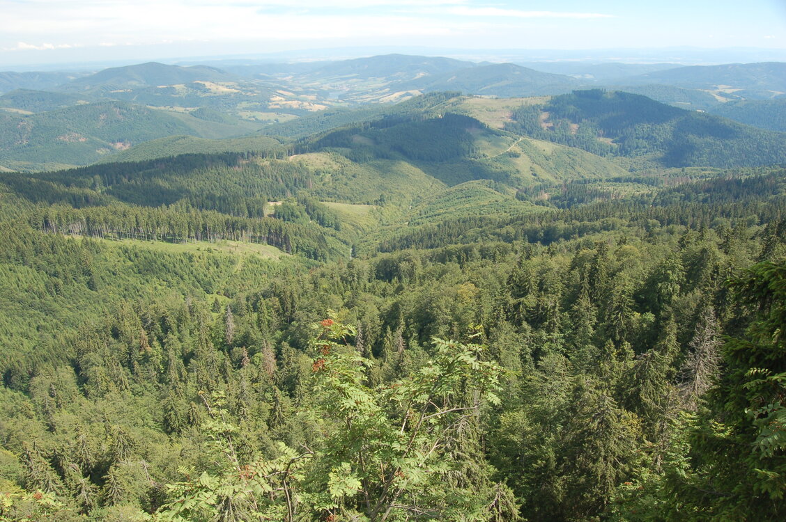 an1_005455.jpg