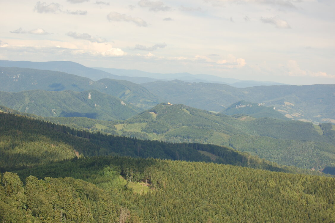 an1_005457.jpg