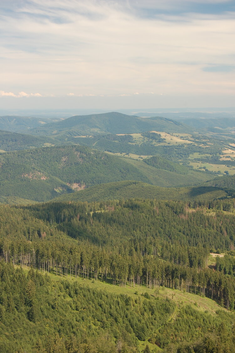 an1_005458.jpg