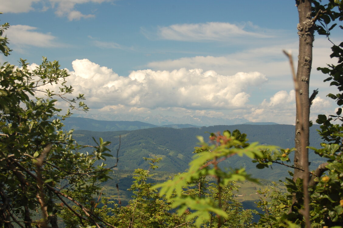 an1_005459.jpg