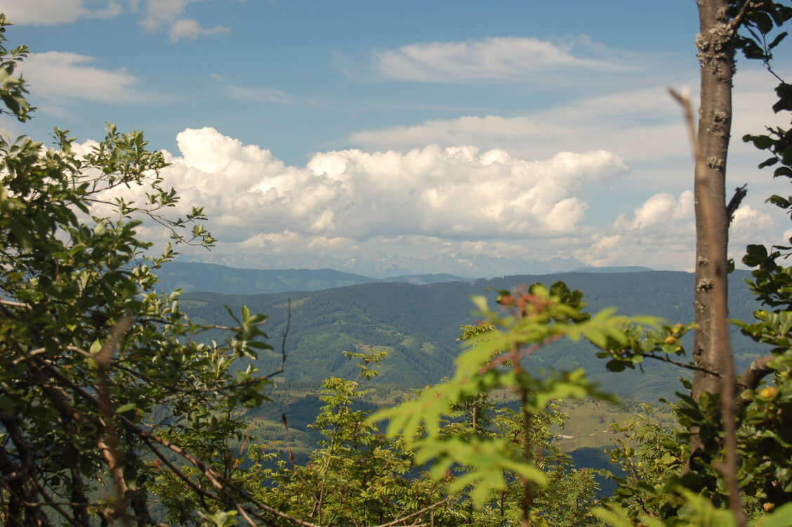 an1_005460.jpg