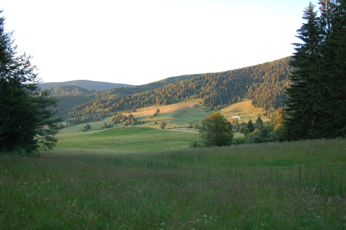 an1_005478.jpg