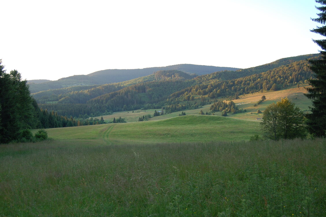 an1_005479.jpg