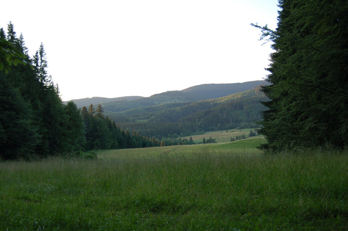 an1_005480.jpg