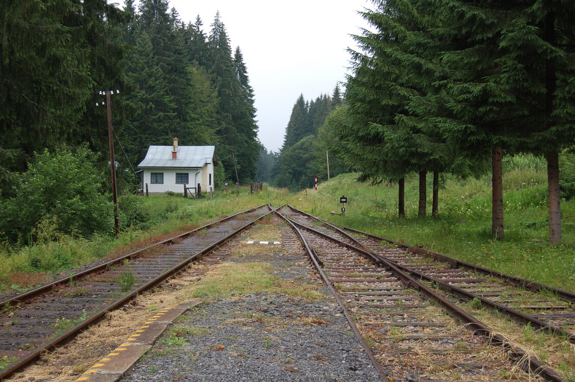an1_005497.jpg