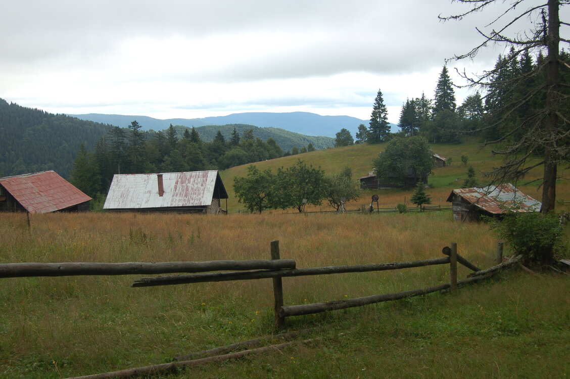 an1_005502.jpg
