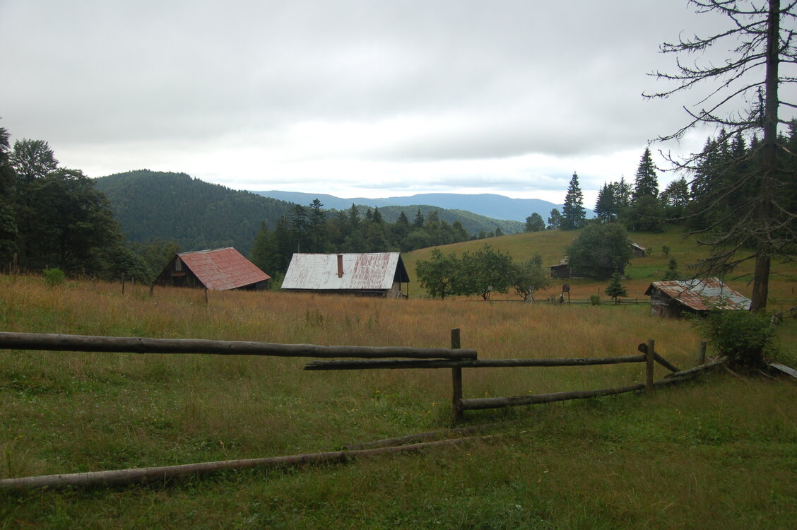 an1_005503.jpg