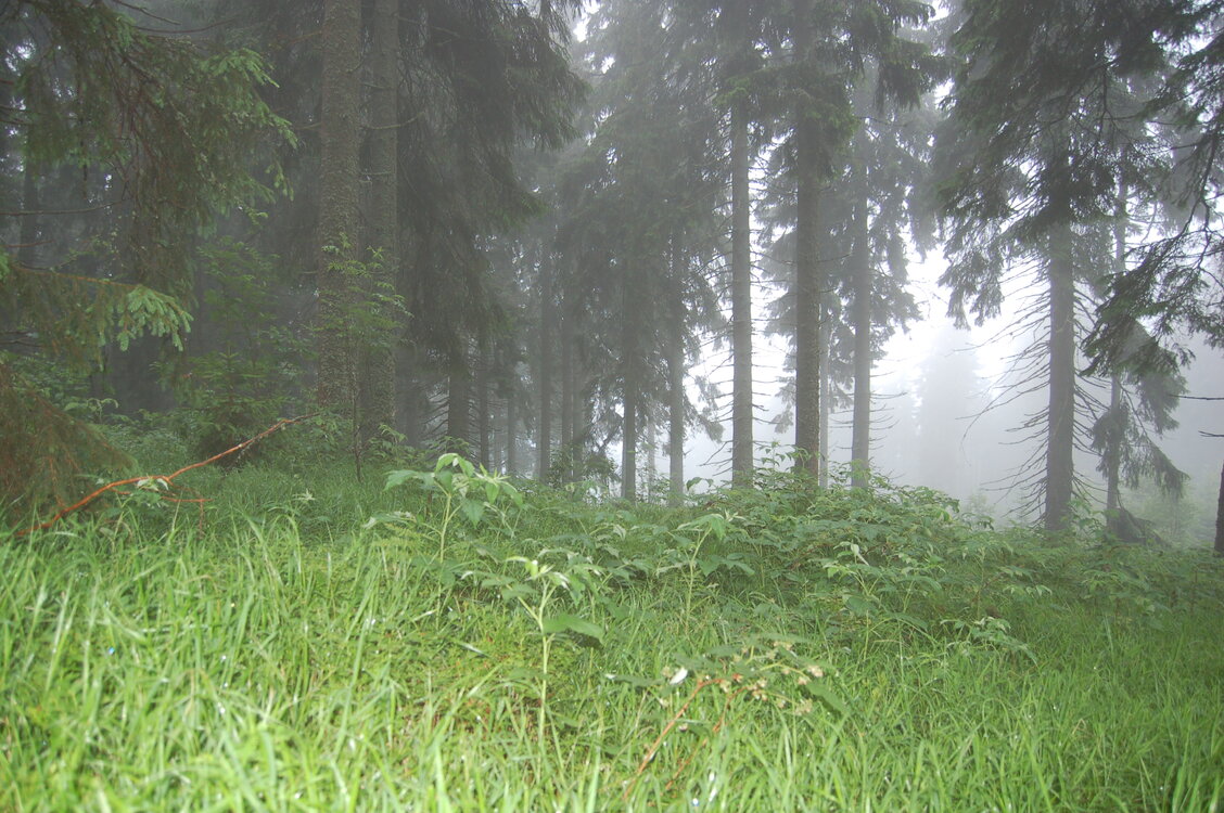 an1_005506.jpg
