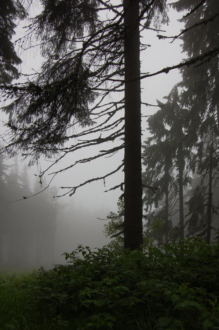 an1_005508.jpg