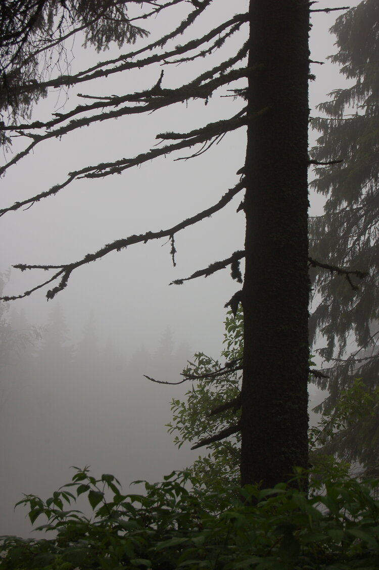 an1_005509.jpg
