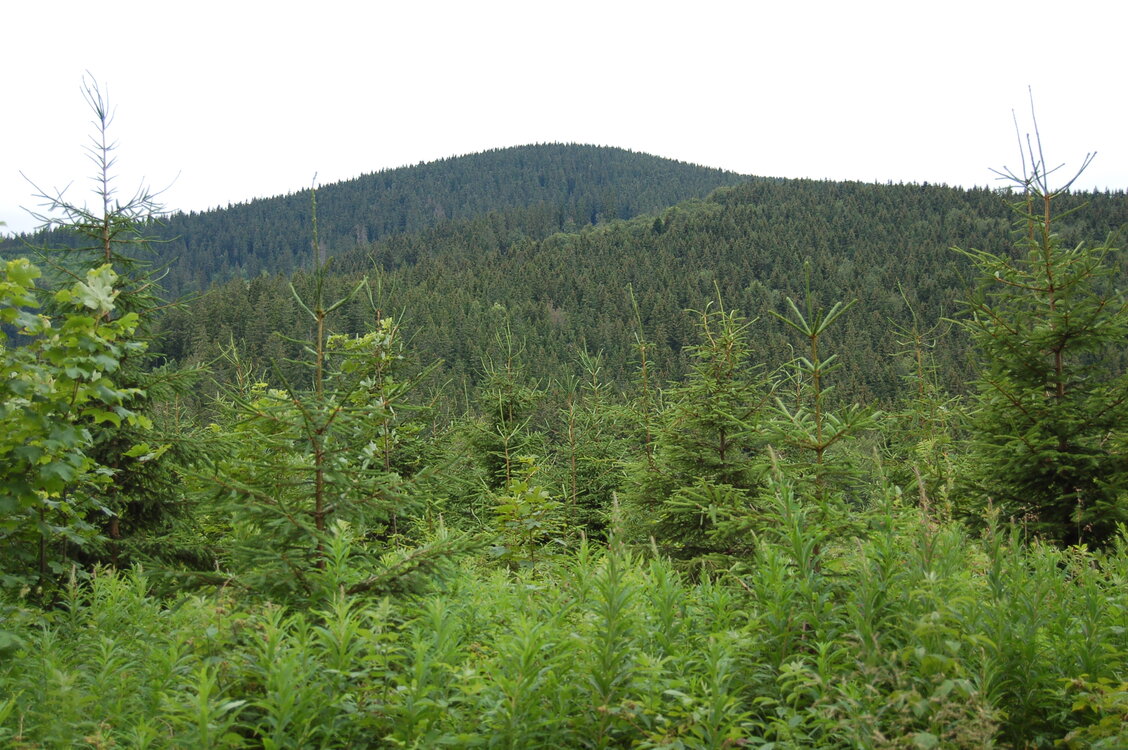an1_005517.jpg