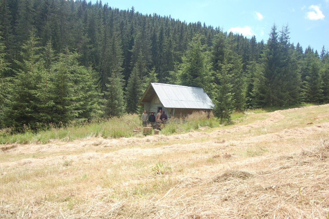 an1_005526.jpg