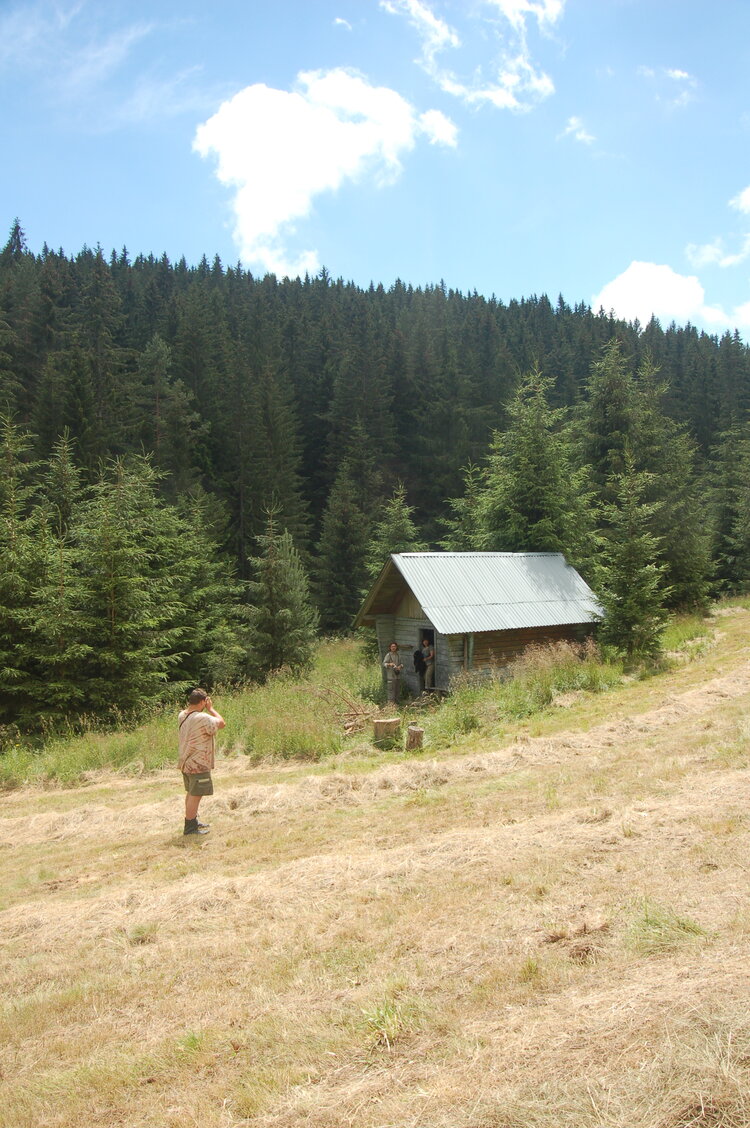 an1_005529.jpg