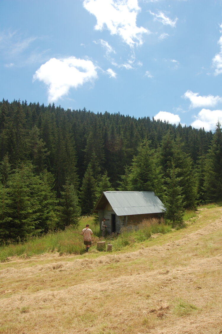 an1_005530.jpg