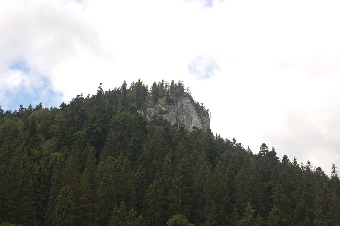 an1_005551.jpg