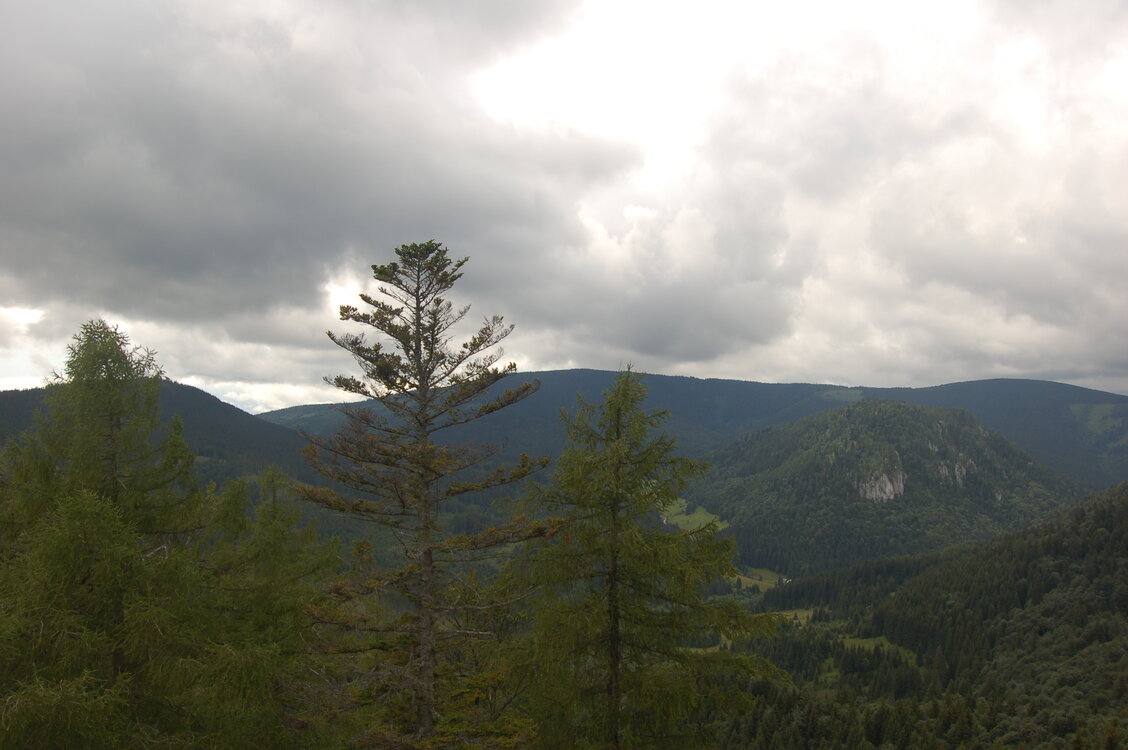 an1_005554.jpg