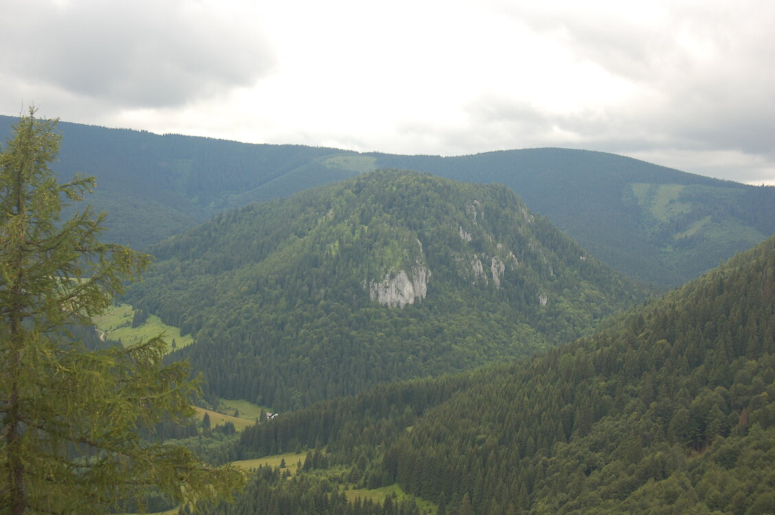 an1_005555.jpg