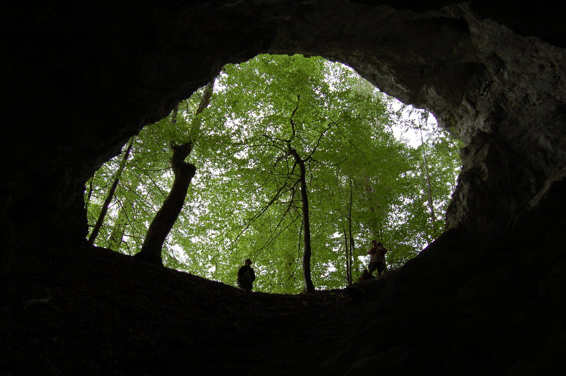 an1_005561.jpg