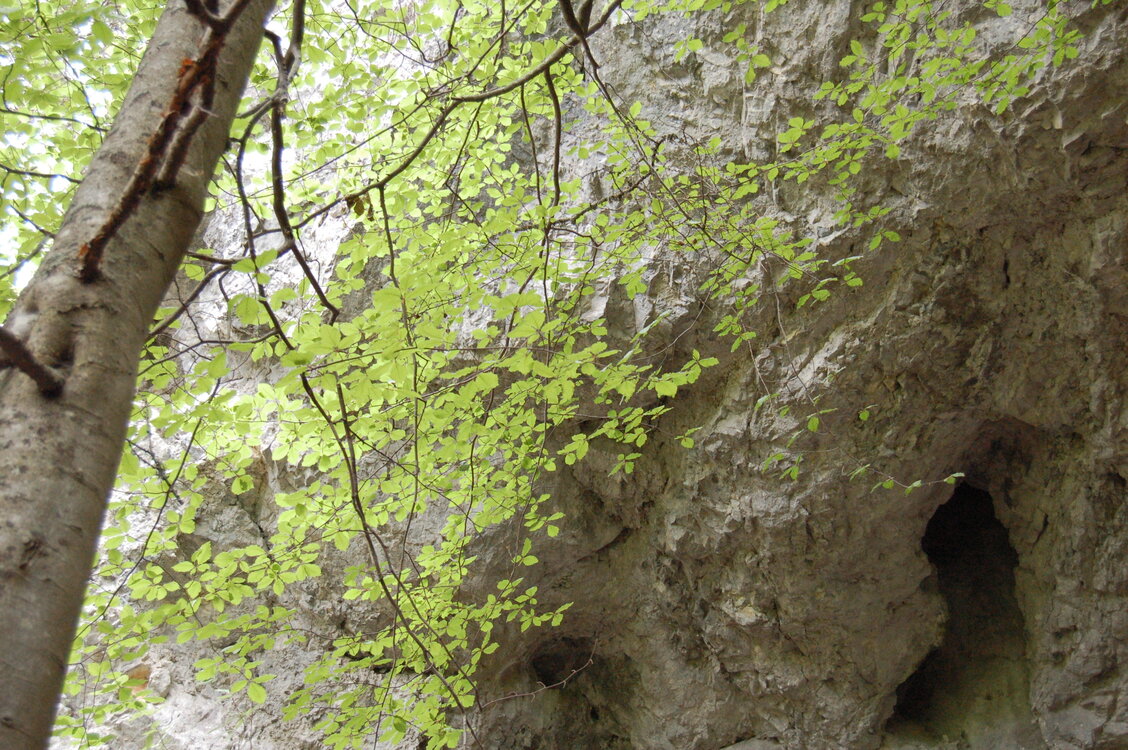an1_005574.jpg