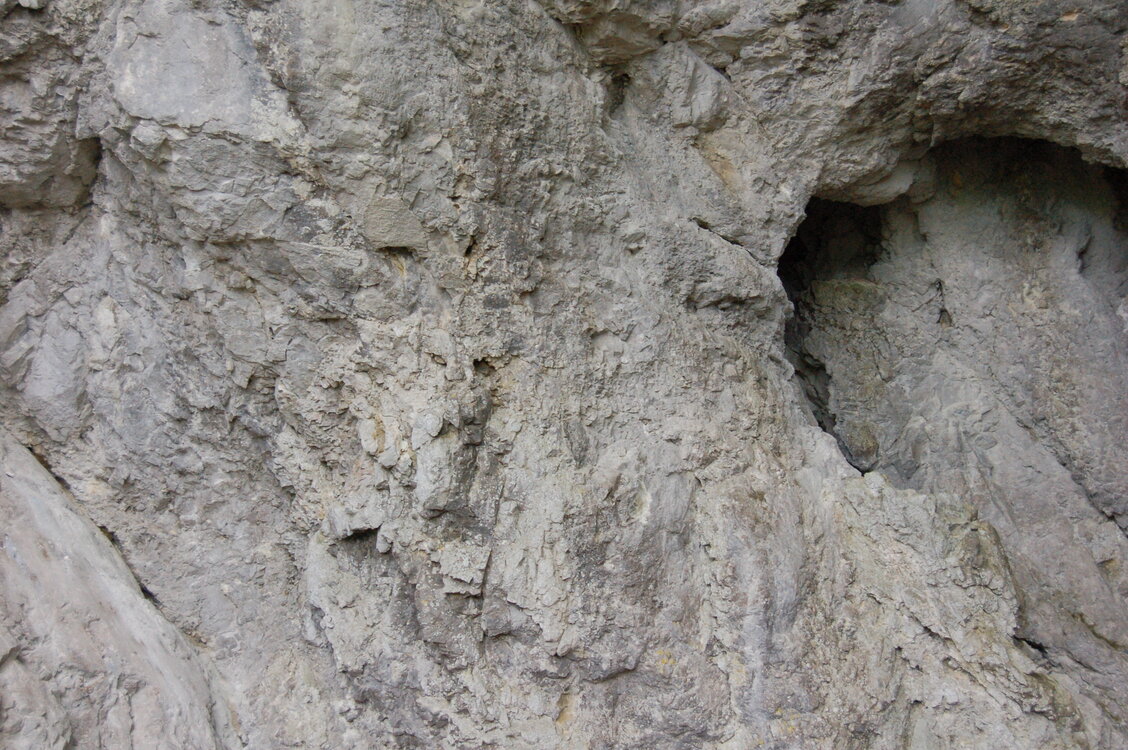 an1_005577.jpg