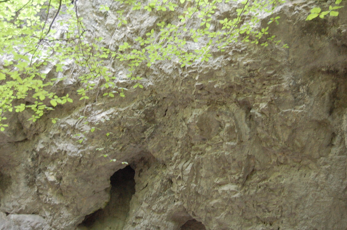 an1_005580.jpg