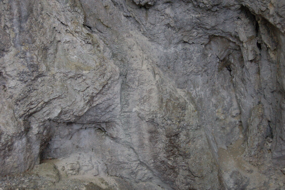 an1_005583.jpg