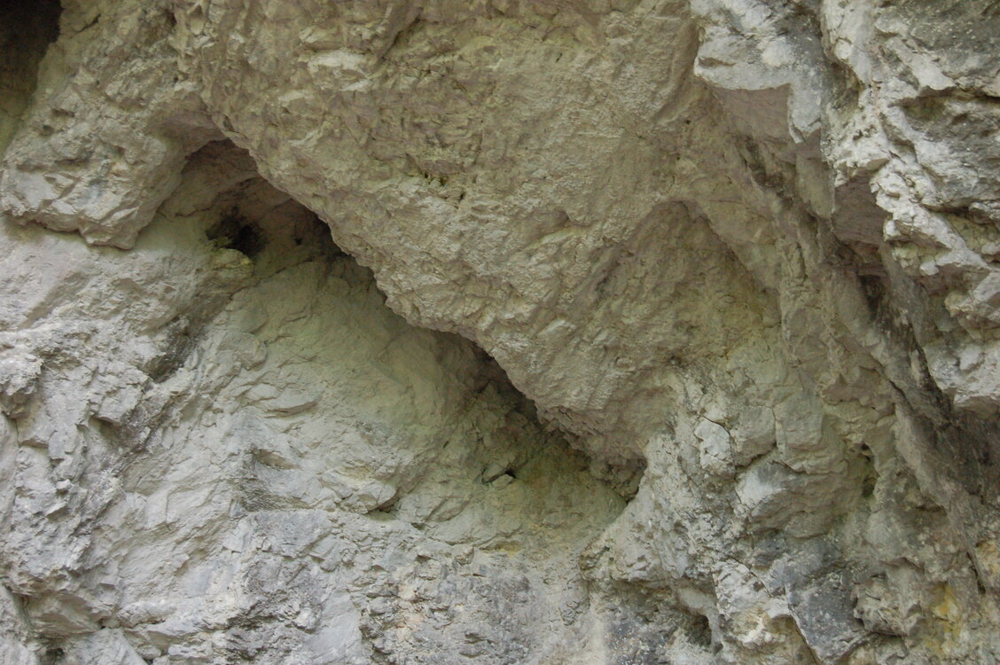 an1_005586.jpg