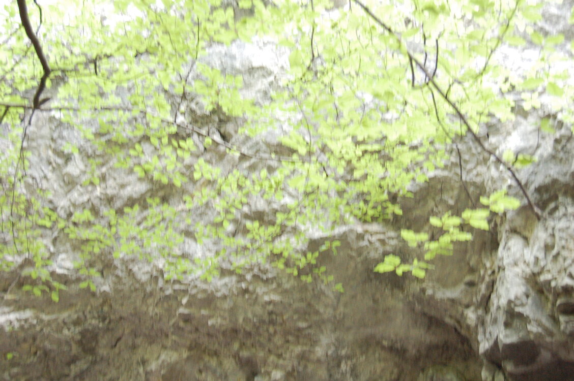 an1_005588.jpg